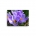 Crocus Flower and Bees enjoying early Spring sun. Canvas
