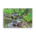 Cascade falls and mossy rocks - Canvas