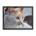 Photo of yellow and white stray cat - Framed poster