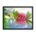 Romantic mediterranean spring flower - Framed poster