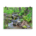 Cascade falls and mossy rocks - Poster