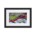 Beautiful Wild Alpine flowers - Matte Paper Framed Poster With Mat