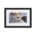 Photo of yellow and white stray cat - Matte Paper Framed Poster With Mat