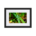 Macro photo of a grass and rain drops - Matte Paper Framed Poster With Mat