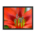 Beautiful red flower stamens - Framed poster