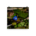 Blue spring speedwell flower - Poster