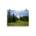 Spring meadow view in Austrian Alps - Photo paper poster