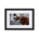 Two brown harnessed horses - Matte Paper Framed Poster With Mat