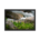 Relaxing photo of mountain flow and flowers - Framed poster