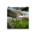 Relaxing photo of mountain flow and flowers - Poster