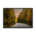 Autumn forest with an empty road - Framed poster