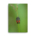 Blister Beetle on a green background - Canvas