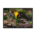 Single Yellow crocus flower - Framed poster