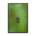 Blister Beetle on a green background - Framed poster