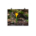 Single Yellow crocus flower - Poster