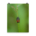 Blister Beetle on a green background - Poster
